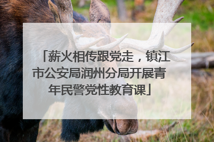 薪火相传跟党走，镇江市公安局润州分局开展青年民警党性教育课
