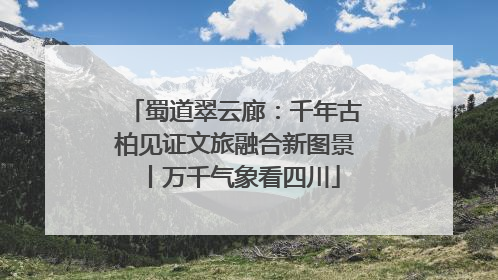蜀道翠云廊：千年古柏见证文旅融合新图景丨万千气象看四川