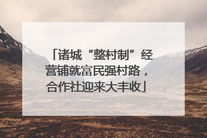 诸城“整村制”经营铺就富民强村路，合作社迎来大丰收