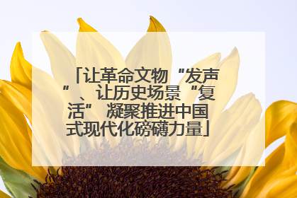 让革命文物“发声”、让历史场景“复活” 凝聚推进中国式现代化磅礴力量