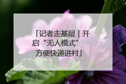 记者走基层｜开启“无人模式” 方便快递进村