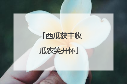 西瓜获丰收 瓜农笑开怀