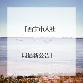 西宁市人社局最新公告