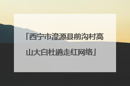 西宁市湟源县前沟村高山大白杜鹃走红网络
