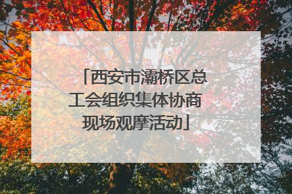 西安市灞桥区总工会组织集体协商现场观摩活动