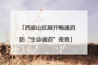 西塞山区展开畅通消防“生命通道”夜查