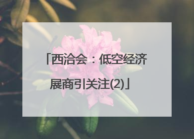 西洽会：低空经济展商引关注(2)