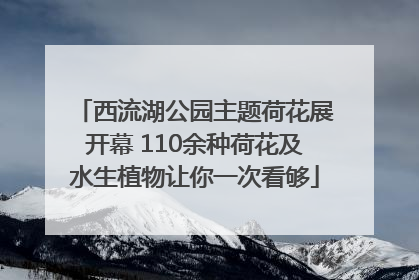 西流湖公园主题荷花展开幕 110余种荷花及水生植物让你一次看够