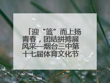 迎“篮”而上扬青春，团结拼搏展风采—烟台三中第十七届体育文化节篮球赛