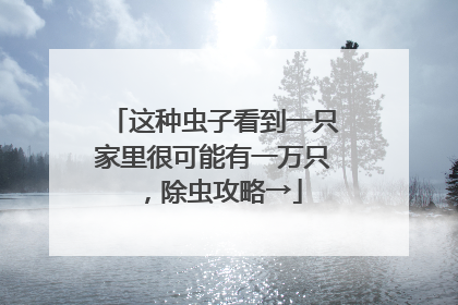 这种虫子看到一只家里很可能有一万只，除虫攻略→