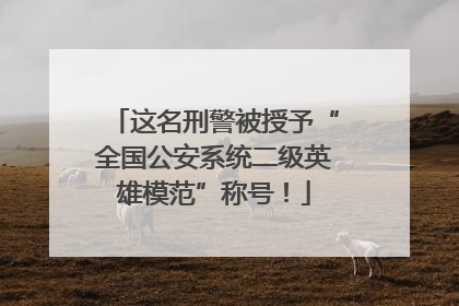 这名刑警被授予“全国公安系统二级英雄模范”称号！