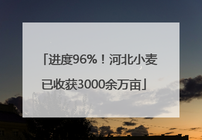 进度96%！河北小麦已收获3000余万亩