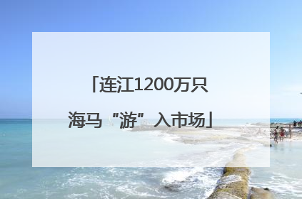 连江1200万只海马“游”入市场