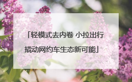 轻模式去内卷 小拉出行撬动网约车生态新可能