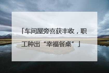 车间屋旁喜获丰收，职工种出“幸福餐桌”