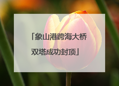 象山港跨海大桥双塔成功封顶