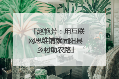 赵艳芳：用互联网思维铺就固阳县乡村助农路