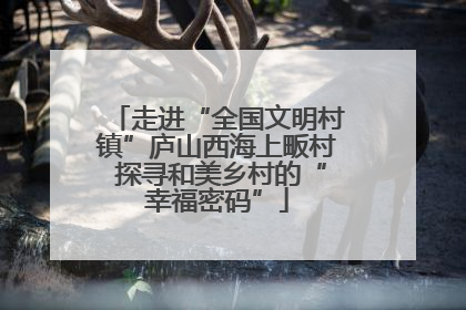 走进“全国文明村镇”庐山西海上畈村 探寻和美乡村的“幸福密码”