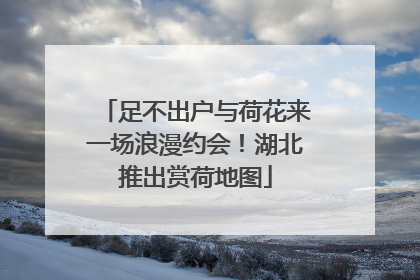 足不出户与荷花来一场浪漫约会！湖北推出赏荷地图