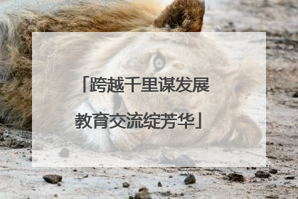 跨越千里谋发展 教育交流绽芳华