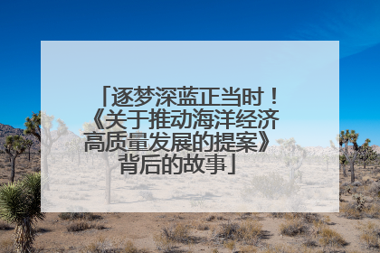 逐梦深蓝正当时！《关于推动海洋经济高质量发展的提案》背后的故事