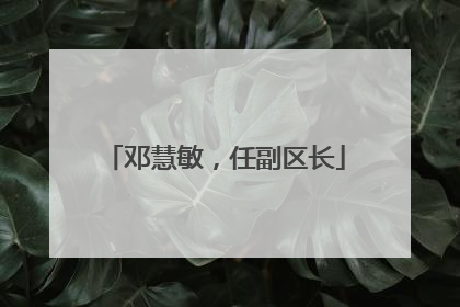 邓慧敏，任副区长