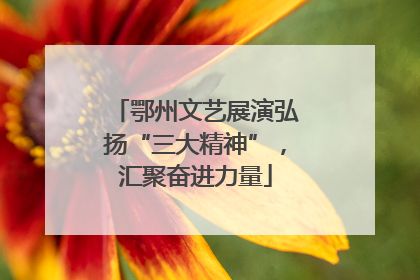 鄂州文艺展演弘扬“三大精神”，汇聚奋进力量