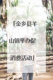 金乡县羊山镇举办促消费活动