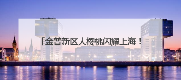 金普新区大樱桃闪耀上海！2025大连金普新区大樱桃推介会活动成功举办！