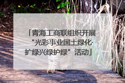 青海工商联组织开展“光彩事业国土绿化·扩绿兴绿护绿”活动