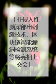 非侵入性脑深部电刺激技术、区块链智能漏洞检测系统等将亮相上交会