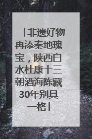 非遗好物再添秦地瑰宝，陕西白水杜康十三朝酒海陈藏30年别具一格