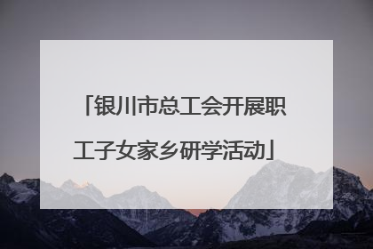 银川市总工会开展职工子女家乡研学活动