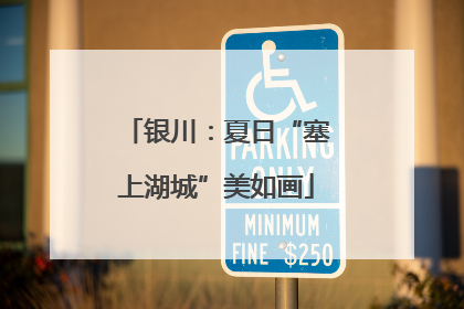 银川：夏日“塞上湖城”美如画