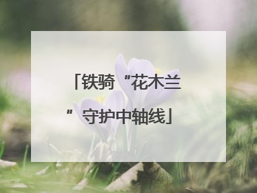 铁骑“花木兰”守护中轴线