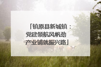 镇原县新城镇：党建领航风帆劲 产业铺就振兴路