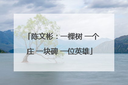 陈文彬：一棵树 一个庄 一块碑 一位英雄