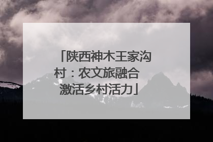 陕西神木王家沟村：农文旅融合 激活乡村活力