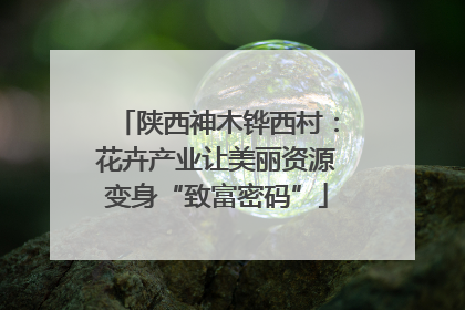 陕西神木铧西村：花卉产业让美丽资源变身“致富密码”