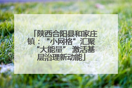 陕西合阳县和家庄镇：“小网格”汇聚“大能量” 激活基层治理新动能