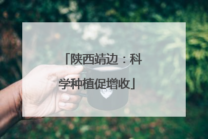 陕西靖边：科学种植促增收
