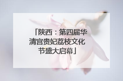 陕西：第四届华清宫贵妃荔枝文化节盛大启幕