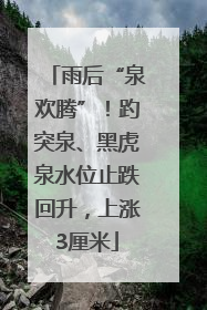 雨后“泉欢腾”！趵突泉、黑虎泉水位止跌回升，上涨3厘米