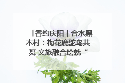 香约庆阳｜合水黑木村：梅花鹿鸵鸟共舞 文旅融合绘就“诗与远方”