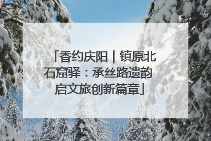 香约庆阳｜镇原北石窟驿：承丝路遗韵 启文旅创新篇章