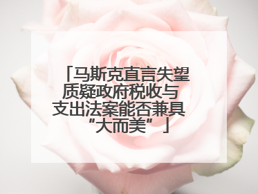 马斯克直言失望 质疑政府税收与支出法案能否兼具“大而美”