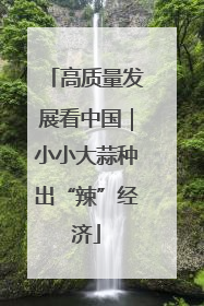 高质量发展看中国｜小小大蒜种出“辣”经济