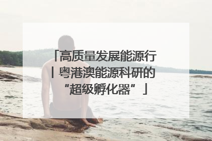 高质量发展能源行丨粤港澳能源科研的“超级孵化器”