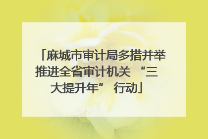 麻城市审计局多措并举推进全省审计机关 “三大提升年” 行动