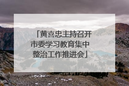 黄喜忠主持召开市委学习教育集中整治工作推进会